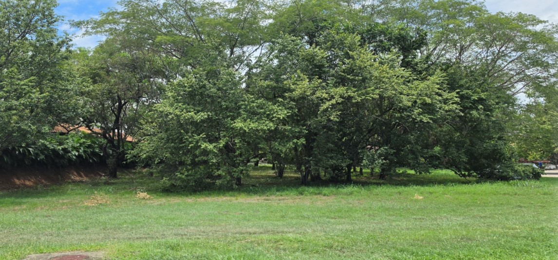 Homesite Las Brisas