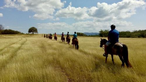 Horseback riding Hacienda Pinilla